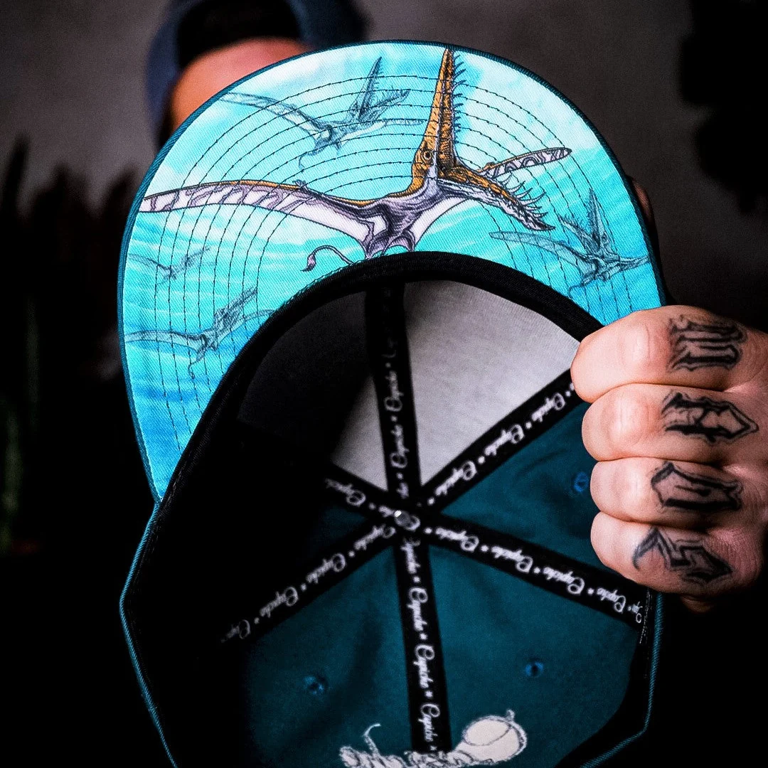 Rhamphor Snapback - Blue - Image 5